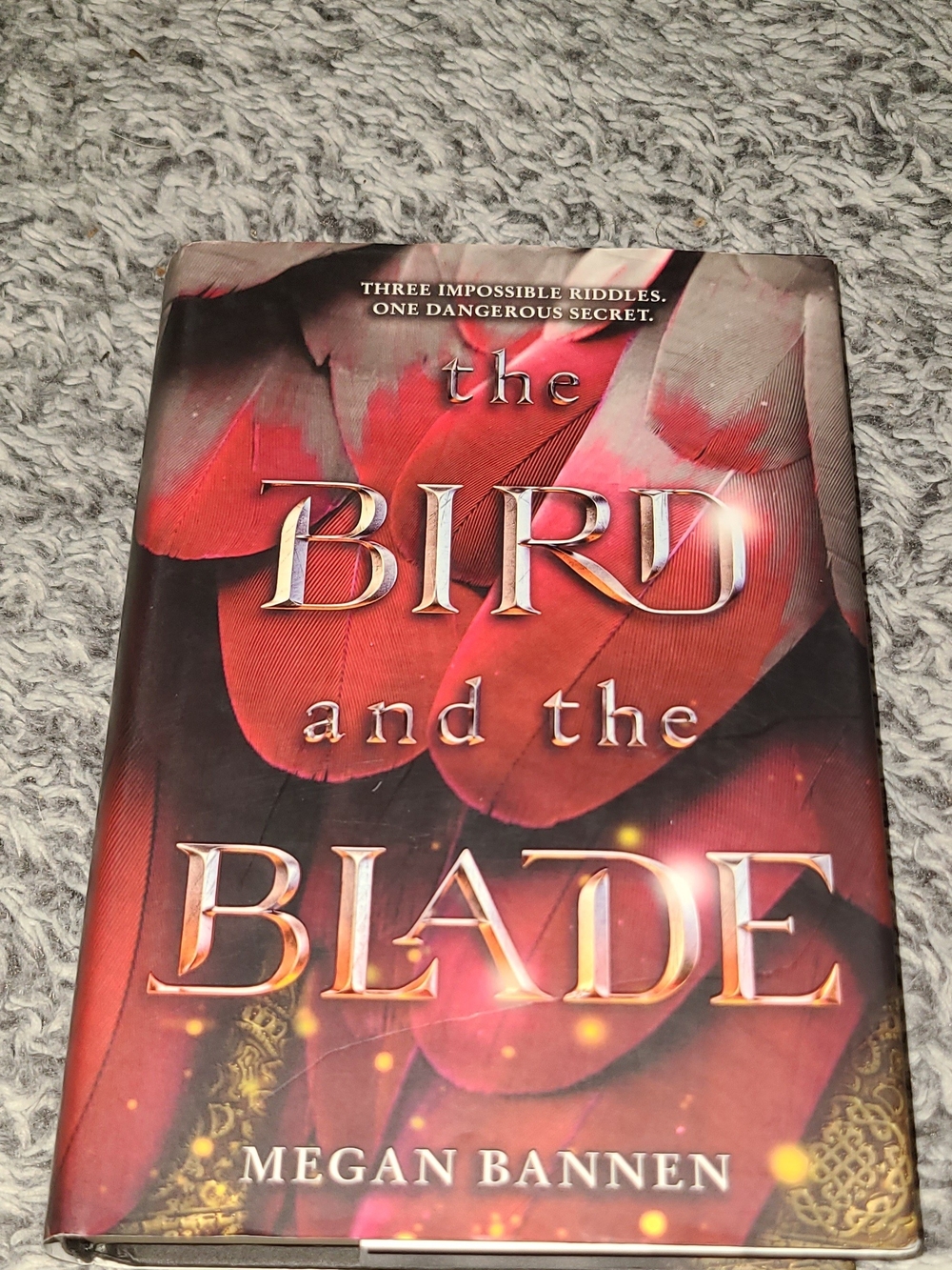 The Bird and the Blade Paperback Megan Bannen